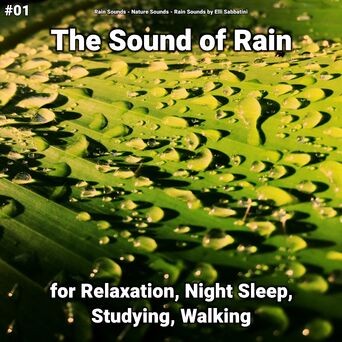 #01 The Sound of Rain for Relaxation, Night Sleep, Studying, Walking