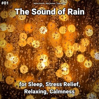 #01 The Sound of Rain for Sleep, Stress Relief, Relaxing, Calmness