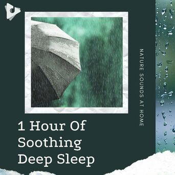 1 Hour Of Soothing Deep Sleep