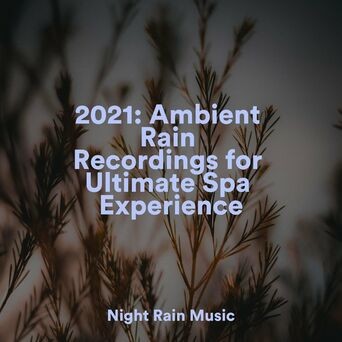 2021: Ambient Rain Recordings for Ultimate Spa Experience