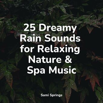 25 Dreamy Rain Sounds for Relaxing Nature & Spa Music