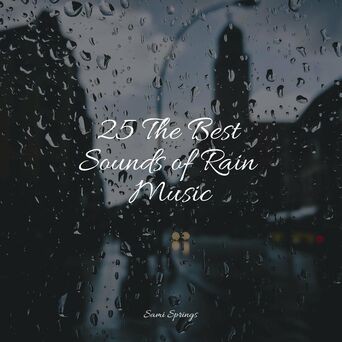 25 The Best Sounds of Rain Music