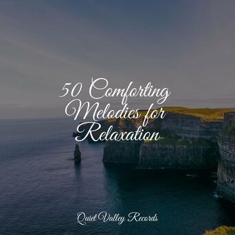 50 Comforting Melodies for Relaxation