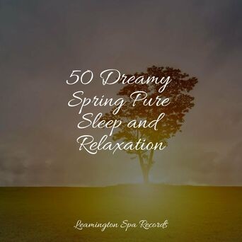 50 Dreamy Spring Pure Sleep and Relaxation