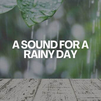 A Sound for a Rainy Day