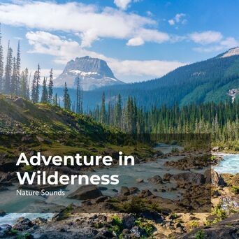Adventure in Wilderness