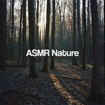 ASMR Nature