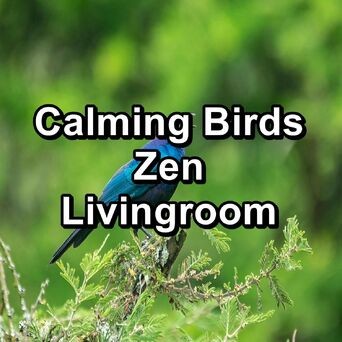 Calming Birds Zen Livingroom