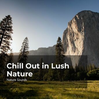 Chill Out in Lush Nature