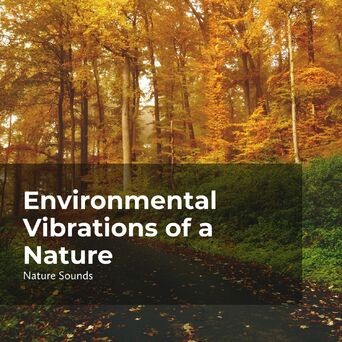 Environmental Vibrations of a Nature