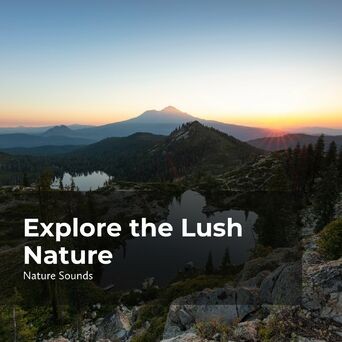 Explore the Lush Nature