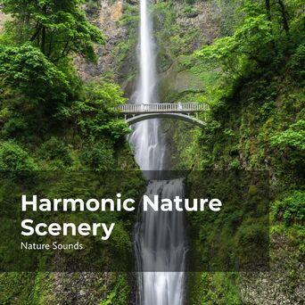Harmonic Nature Scenery