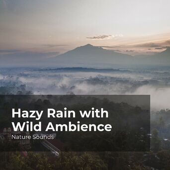 Hazy Rain with Wild Ambience