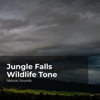 Jungle Falls Wildlife Tone