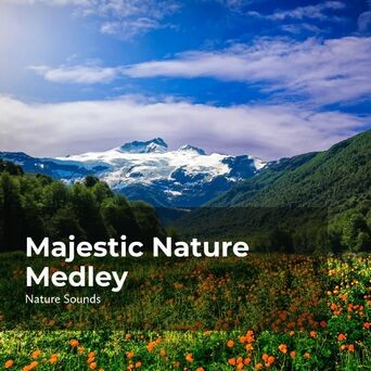 Majestic Nature Medley