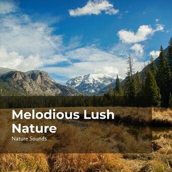 Melodious Lush Nature