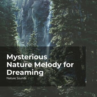 Mysterious Nature Melody for Dreaming