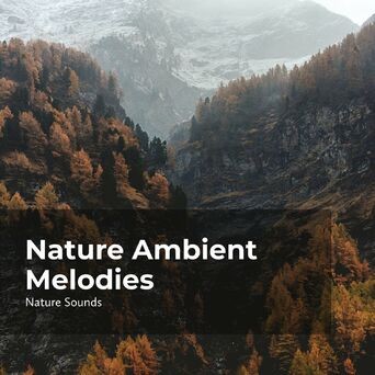 Nature Ambient Melodies