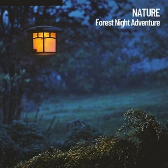 Nature: Forest Night Adventure