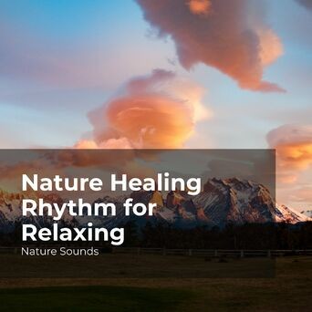 Nature Healing Rhythm for Relaxing