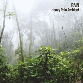 Nature: Heavy Rain Ambient