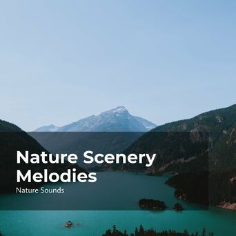 Nature Scenery Melodies