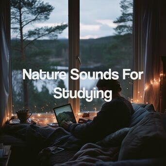 Nature Sounds For Studying