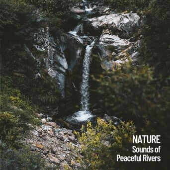 Nature: Sounds of Peaceful Rivers