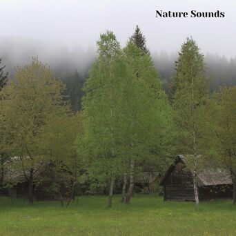 Nature Sounds Sleep Music, Session 5