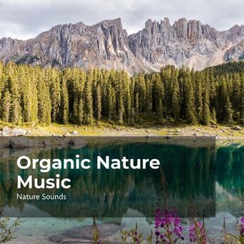 Organic Nature Music