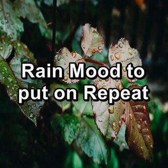 Rain Mood to put on Repeat
