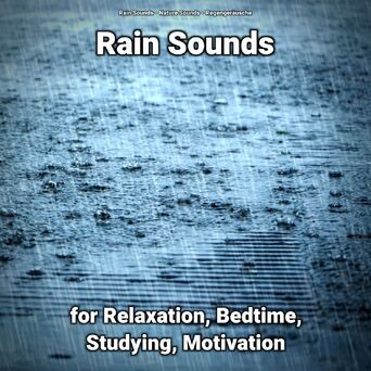 Rain Sounds for Relaxation, Bedtime, Studying, Motivation
