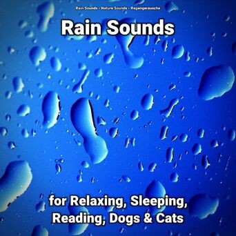 Rain Sounds for Relaxing, Sleeping, Reading, Dogs & Cats