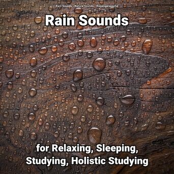Rain Sounds for Relaxing, Sleeping, Studying, Holistic Studying