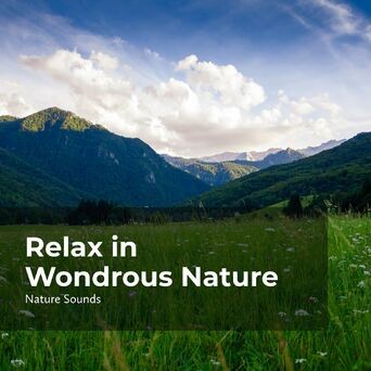 Relax in Wondrous Nature