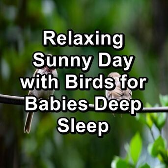 Relaxing Sunny Day with Birds for Babies Deep Sleep