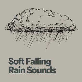 Soft Falling Rain Sounds