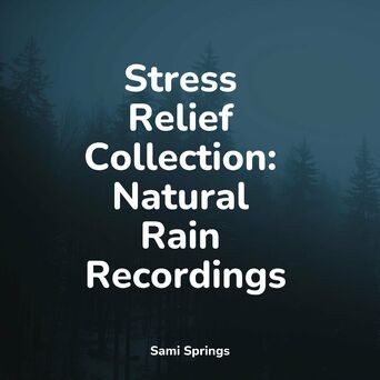 Stress Relief Collection: Natural Rain Recordings