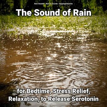 The Sound of Rain for Bedtime, Stress Relief, Relaxation, to Release Serotonin