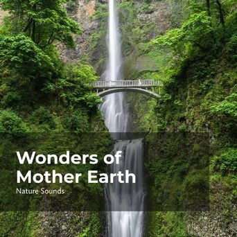 Wonders of Mother Earth
