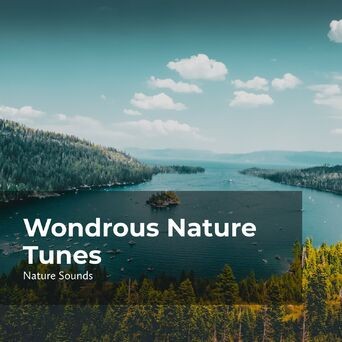 Wondrous Nature Tunes