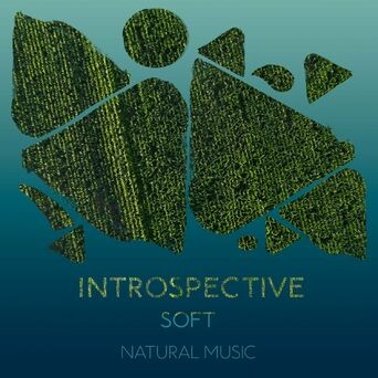 zZz Introspective Soft Natural Music zZz
