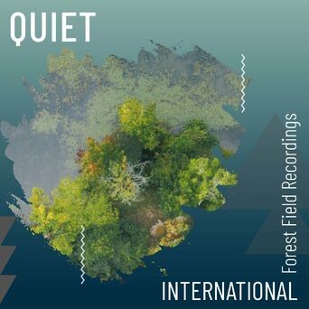 zZz Quiet International Forest Field Recordings zZz