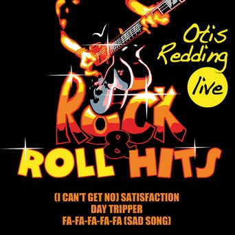 The Rock & Roll Hits (Live)