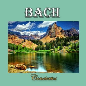 Bach, Conciertos
