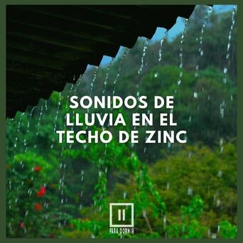 Sonidos de Lluvia en el Techo de Zinc