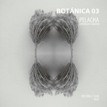 Botánica 03