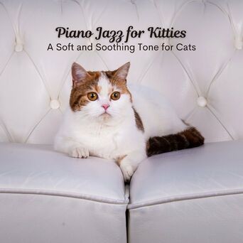 Piano Jazz for Kitties: A Soft and Soothing Tone for Cats