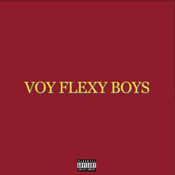 Voy Flexy Boys