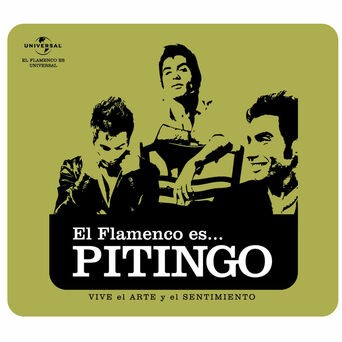Flamenco es... Pitingo